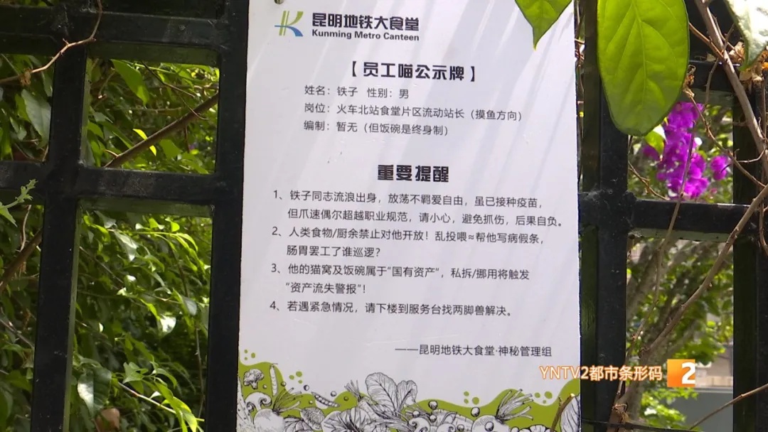 “铁子”回了喵星，地铁站口还留着它的工牌和猫窝，网友：舍不得！