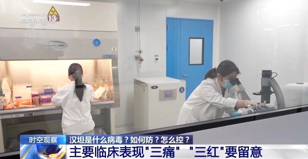 涉疫邮轮已有6例确诊，汉坦是什么病毒？如何防？怎么控？专家解答→