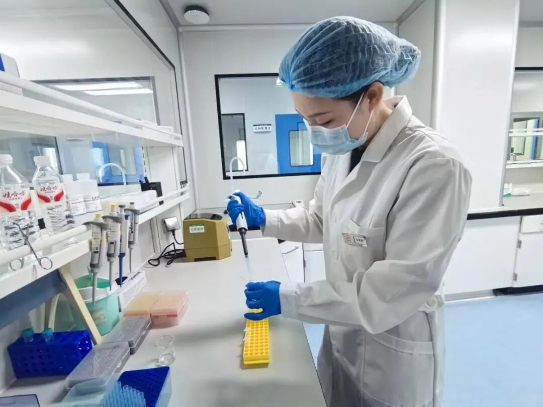DNA比对成功！张梦婷（女刑警），靠一滴蚊子血锁定！