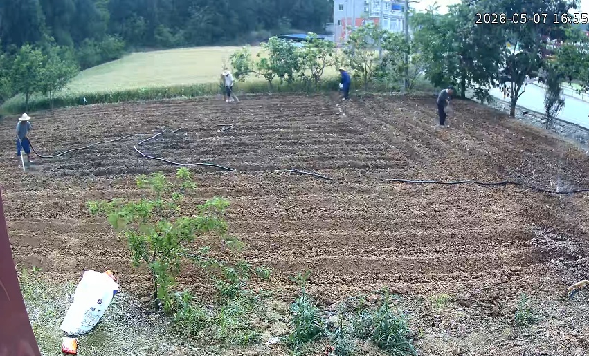 绵阳女子母亲因病住院，邻居帮忙耕好地还种上了玉米，网友：远亲不如近邻，当事人回应