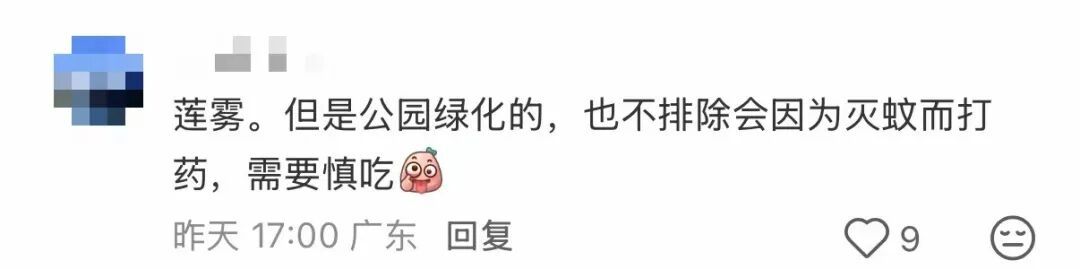 捡都捡不完！最近这种水果在莲花山公园大量出现！园方：不建议采摘……
