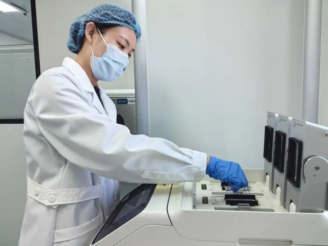DNA比对成功！张梦婷（女刑警），靠一滴蚊子血锁定！