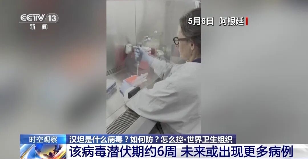 涉疫邮轮已有6例确诊，汉坦是什么病毒？如何防？怎么控？专家解答→