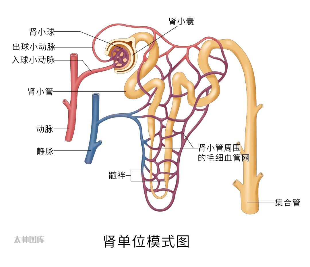 上完厕所她看了一眼，吓得直接去了医院！医生：再晚一步就危险了