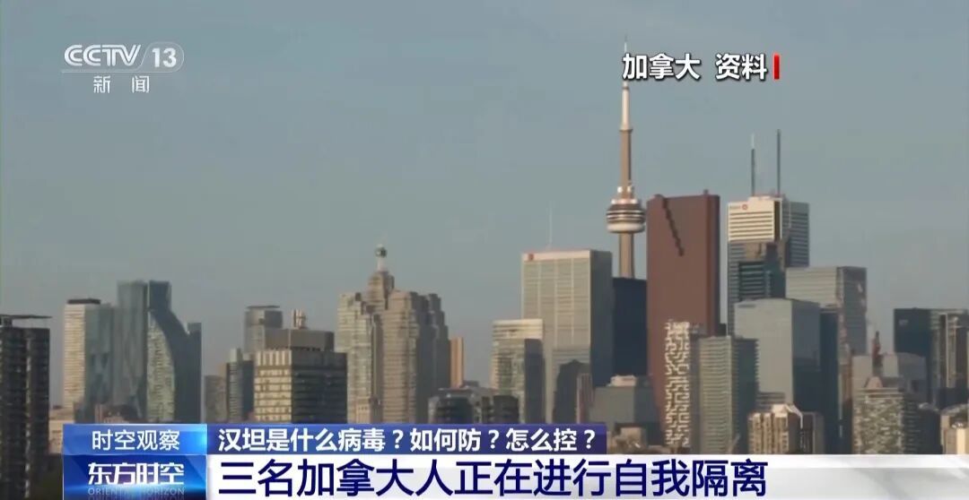 涉疫邮轮已有6例确诊，汉坦是什么病毒？如何防？怎么控？专家解答→