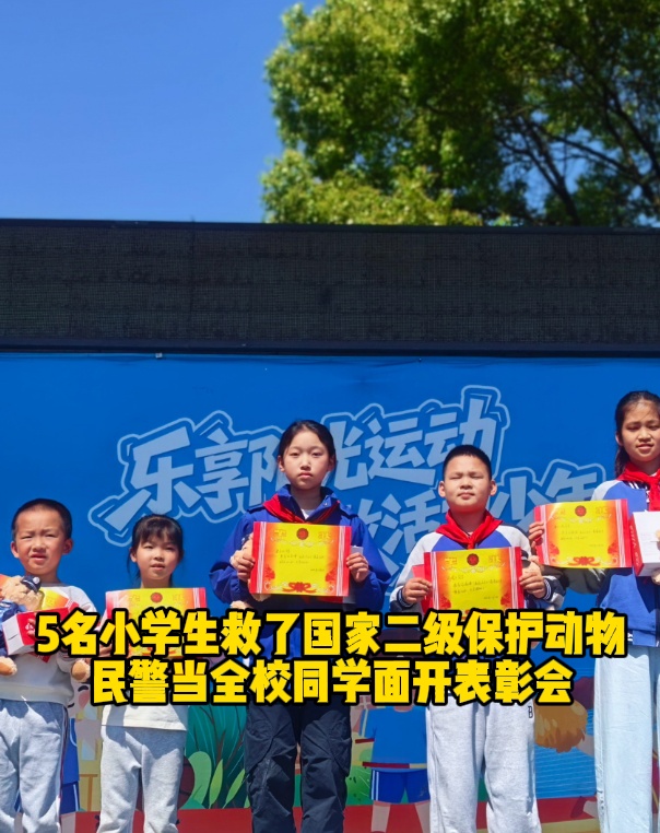 杭州5个孩子在树丛里捡到一只“怪鸟”，竟是国家二级保护动物！接下来的举动全网怒赞