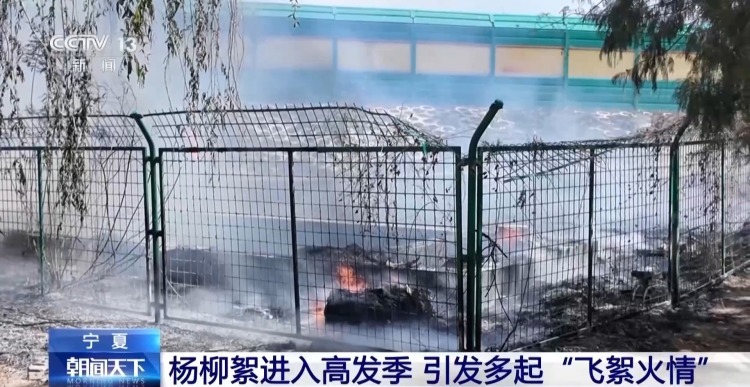 飞絮点燃后秒变火球 这些安全提示要记牢
