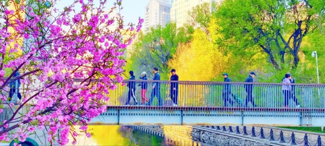 一秒入夏！哈市今年首个“30℃”要来啦