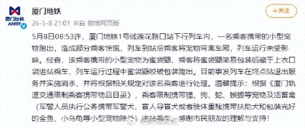 厦门地铁回应乘客携带的小型宠物跑出
