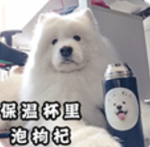 别再用100°C的热水泡枸杞了，喝不对反而伤身体，这些饮用误区要知道→