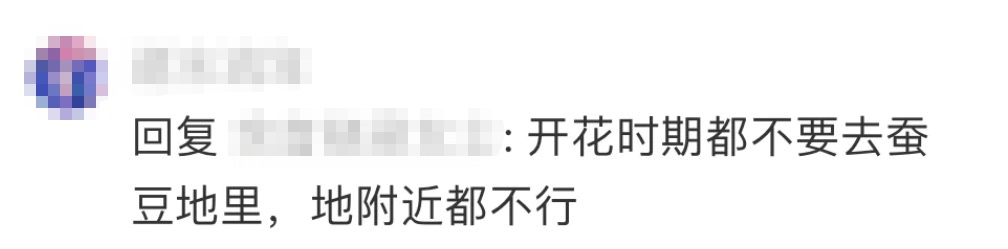 网友热议！“菜市场不准剥蚕豆”引热议！是怕引发蚕豆病？农贸市场辟谣→