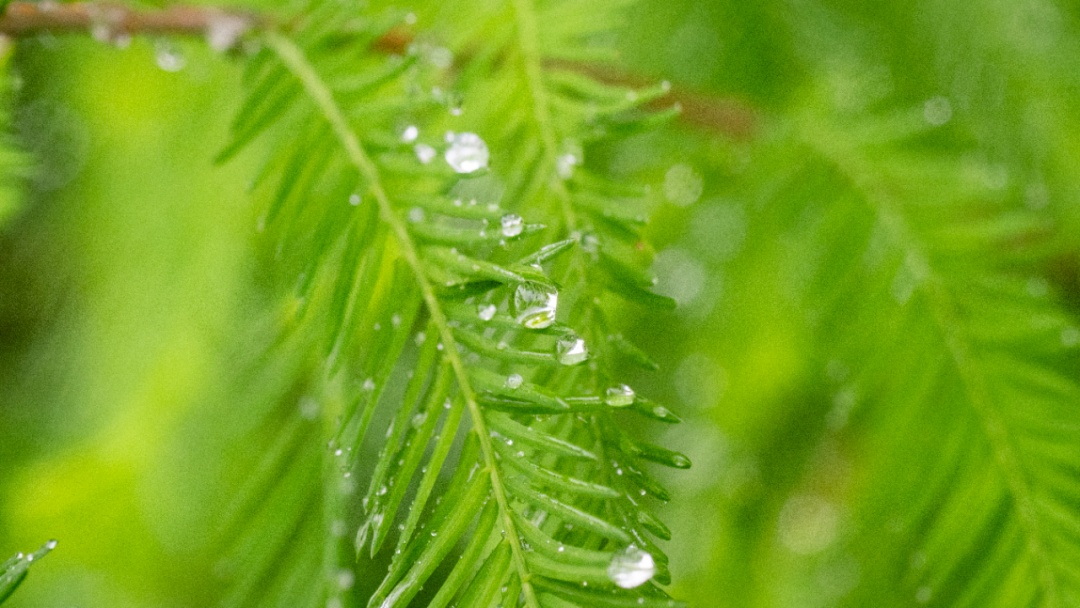 广州新一轮降雨时间确定！