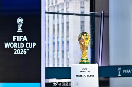 伊朗足协公布参加世界杯10项条件