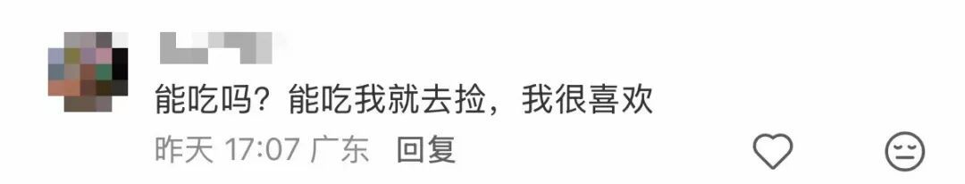 捡都捡不完！最近这种水果在莲花山公园大量出现！园方：不建议采摘……