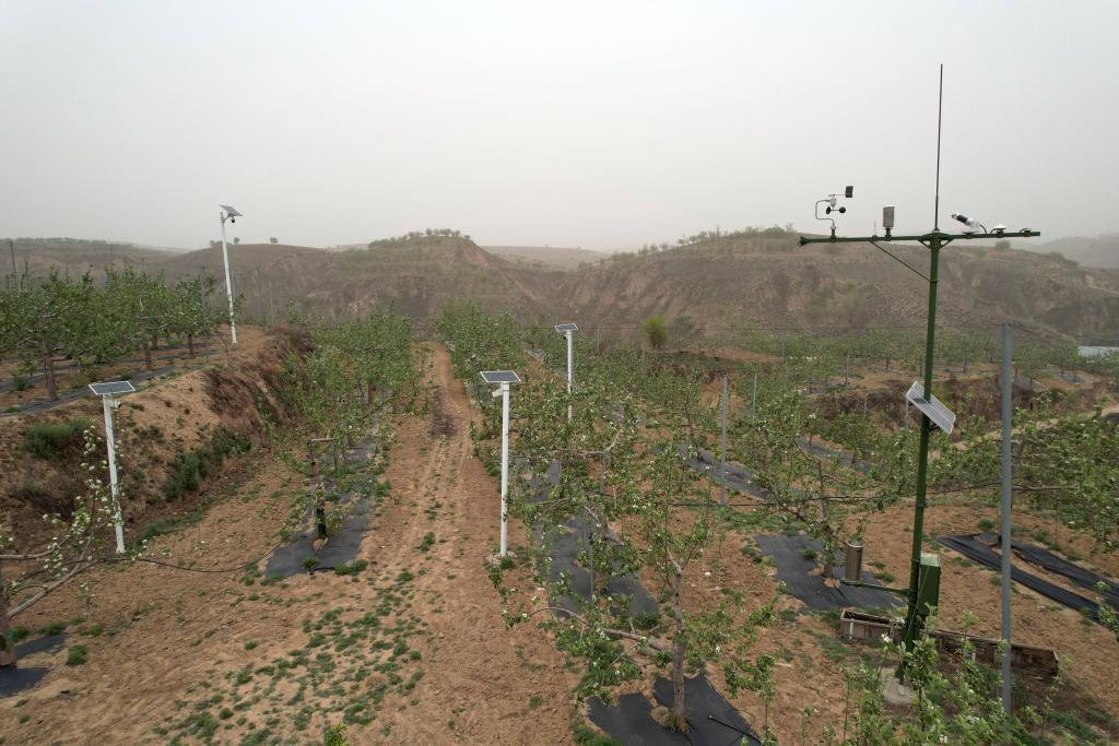 记者手记：北扩西移，探访我国最大苹果种植区