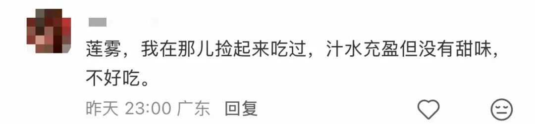 捡都捡不完！最近这种水果在莲花山公园大量出现！园方：不建议采摘……