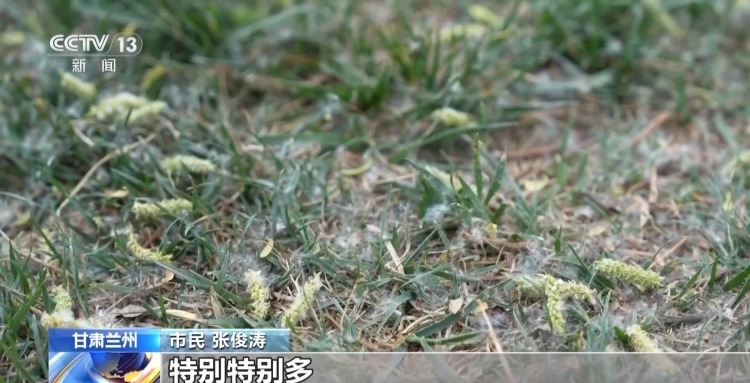 飞絮点燃后秒变火球 这些安全提示要记牢