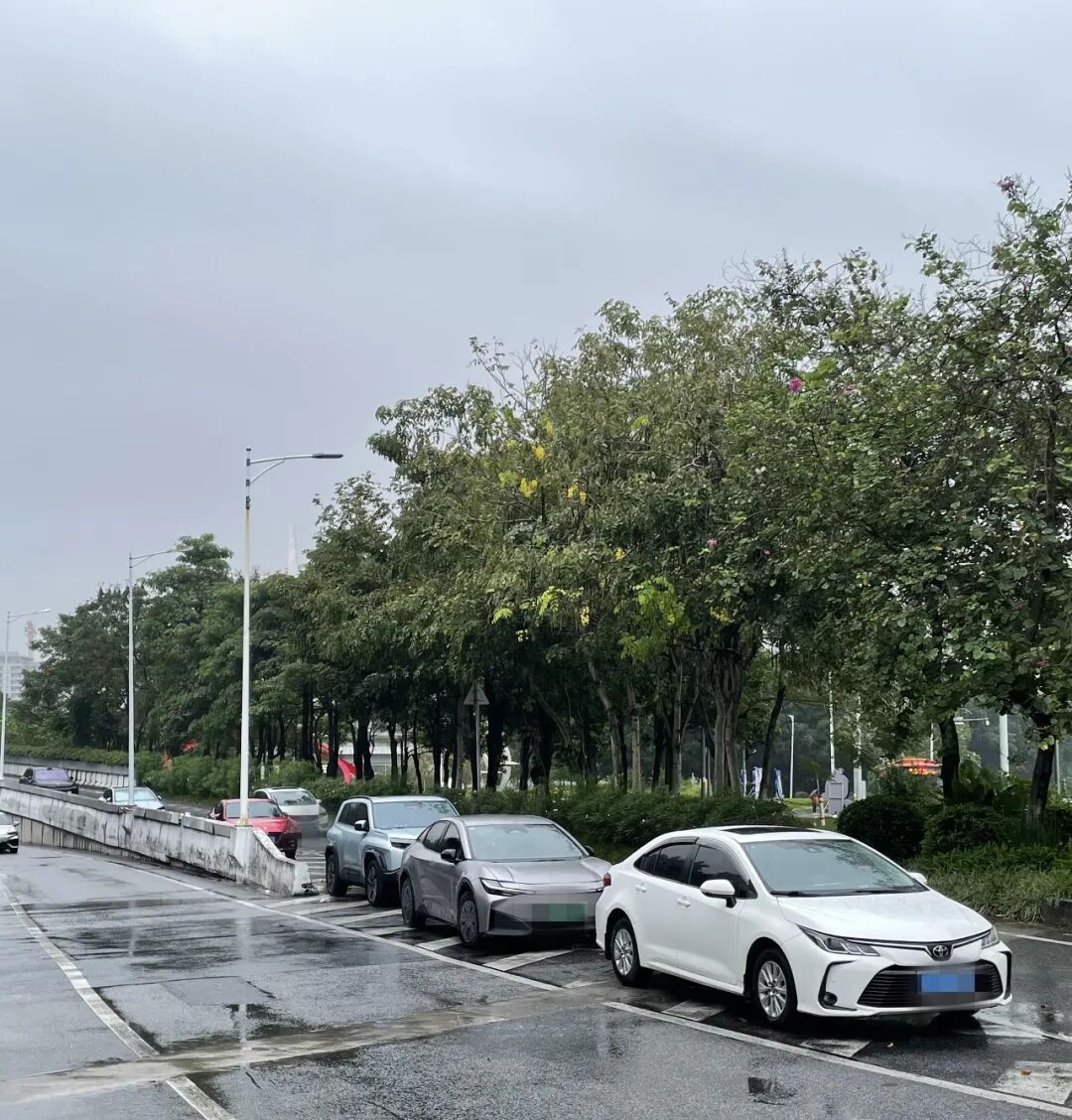 广州一省道路口变“露天车场”，数台车排队停放在此，交警：对10台违停车辆依法处罚