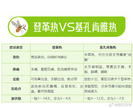 登革热VS基孔肯雅热，防蚊防病注意这些