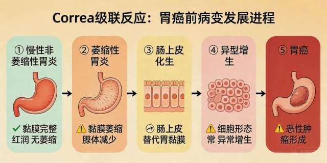 52岁医生从确诊癌症到离世仅2个月，每年体检但忽视了一个项目，医生：这类人群需注意