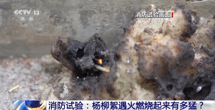 飞絮点燃后秒变火球 这些安全提示要记牢