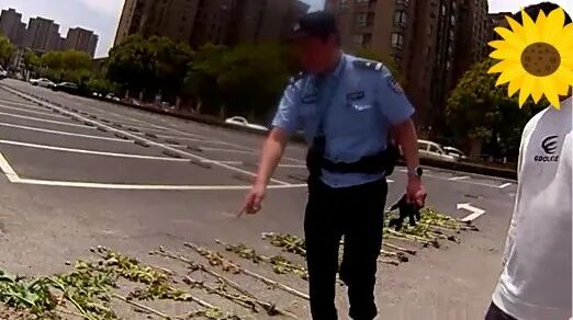 少年慧眼识“毒”，民警：上学校表扬你！
