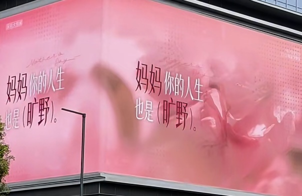 深圳还是太超前了！母亲节标语又“上大分”！