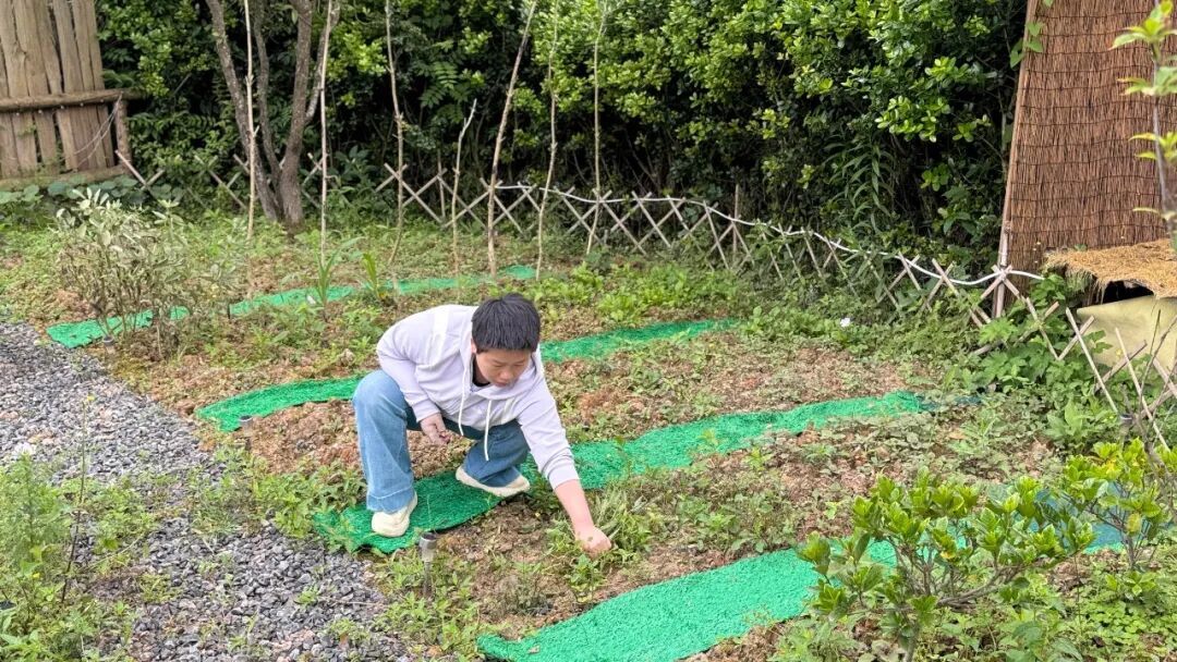 确诊癌症晚期3年后，她撕掉“100个遗愿清单”：开始正视自己，解开与母亲心结，希望多活20年