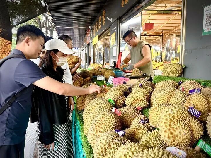 云南把榴莲价格打下来！物流升级 + 国产试种，“榴莲自由”，真的要来了