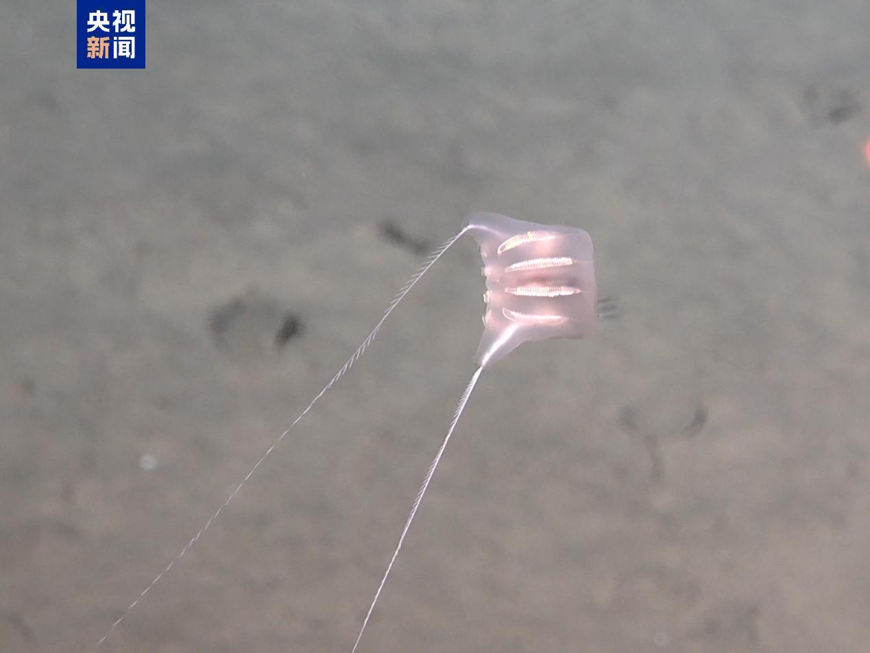 “探索一号”科考船抵达广州 取得多项重要科学发现