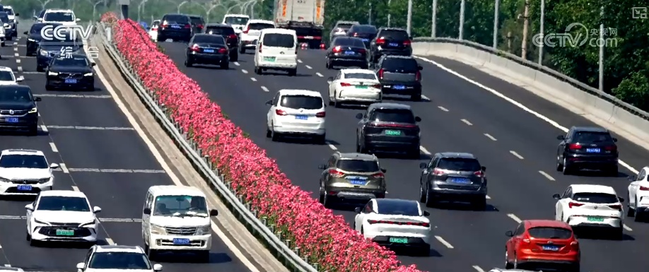 “你恰好盛开 我刚好路过” 城市绿化景观火出圈 新“花”样绽放消费新“热”力