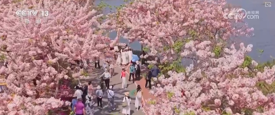 透过先行指标看经济 | 前沿领域投资势头强劲 超大规模市场消费活力释放
