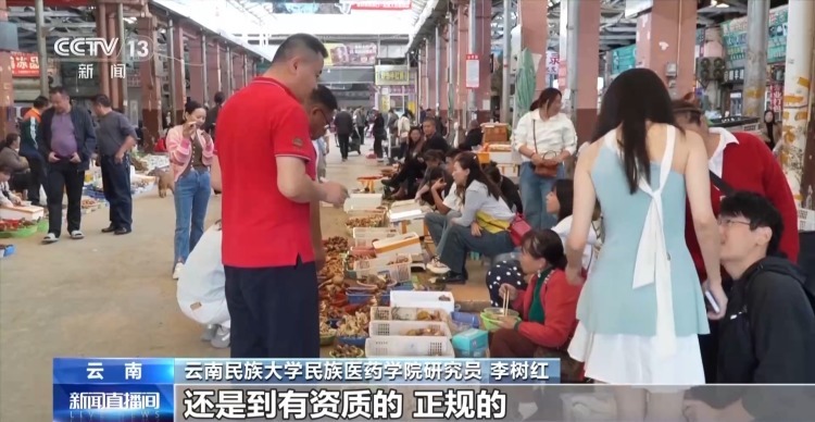 尝鲜需谨慎 这些有毒野生菌千万别乱采乱吃