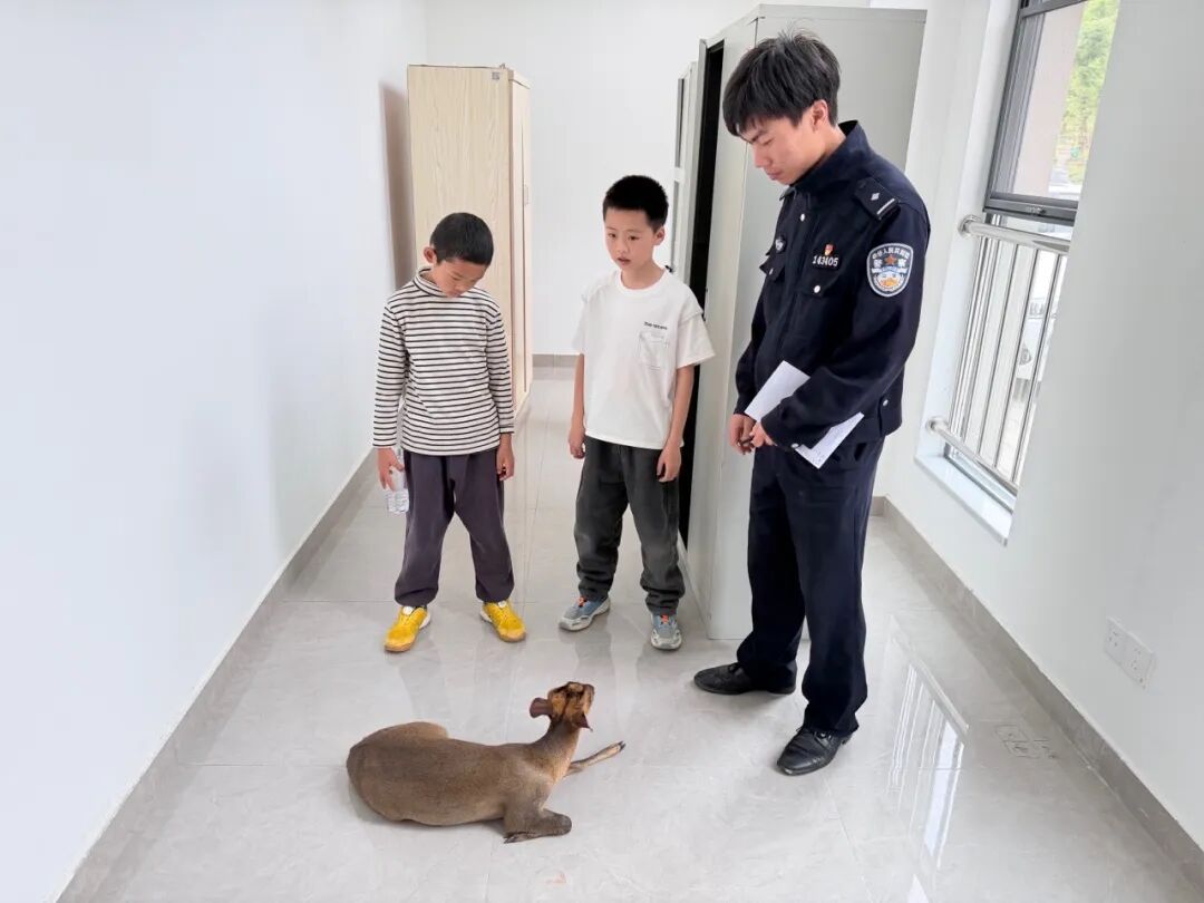 一场特殊的“科普课”小学生救助国家保护动物获民警点赞