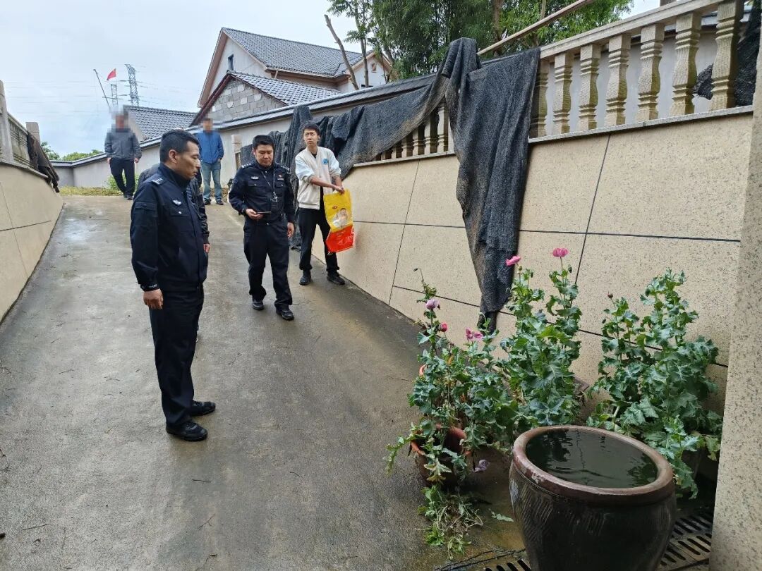 这种花一株也不能种！杭州有人被抓