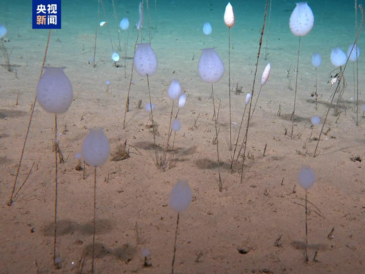 “探索一号”科考船抵达广州 取得多项重要科学发现