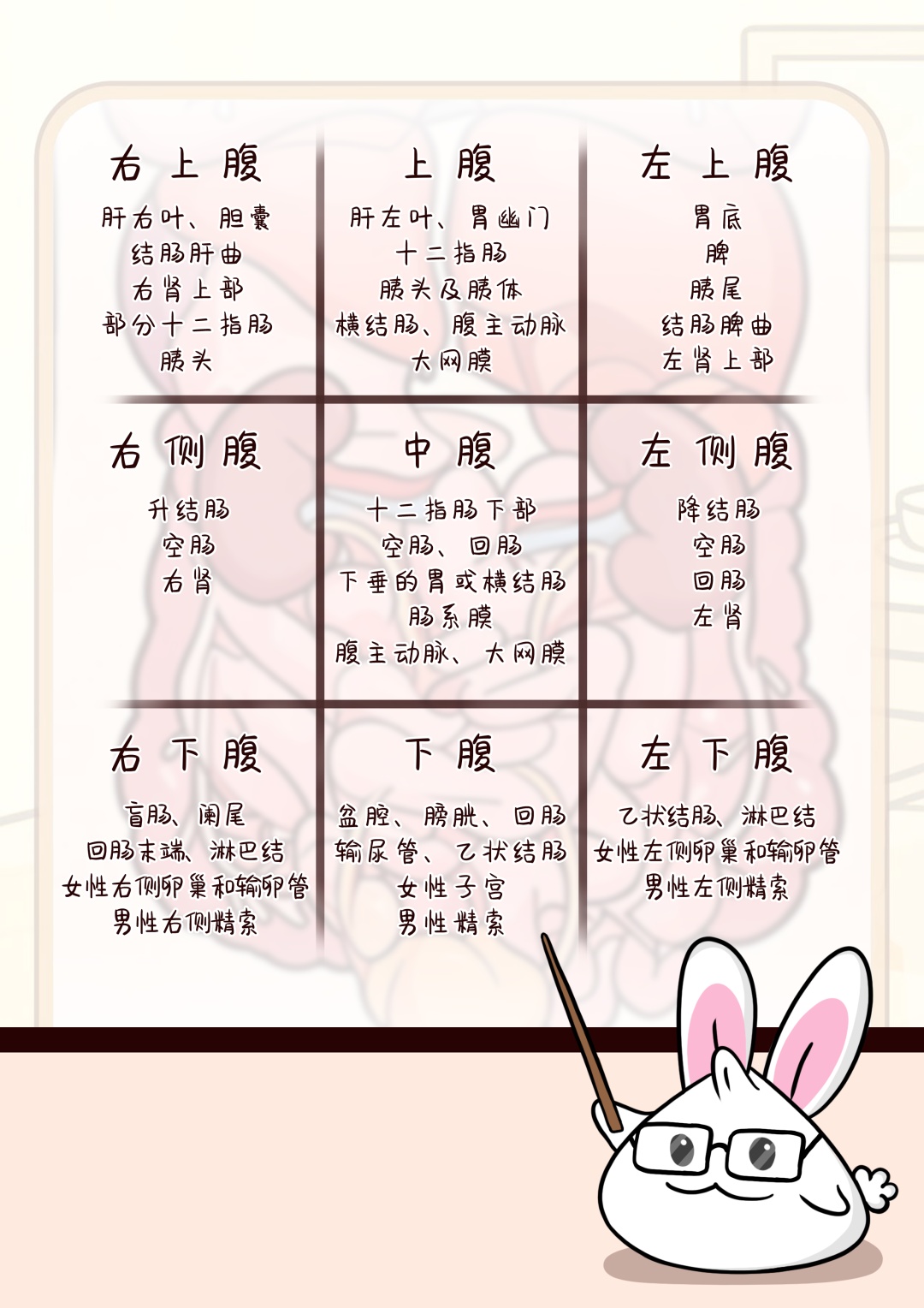 医聊 | 肚子疼时，你的身体在“说”什么？