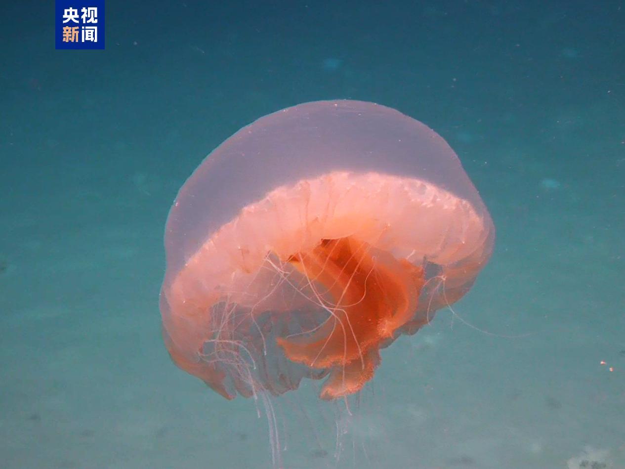 “探索一号”科考船抵达广州 取得多项重要科学发现