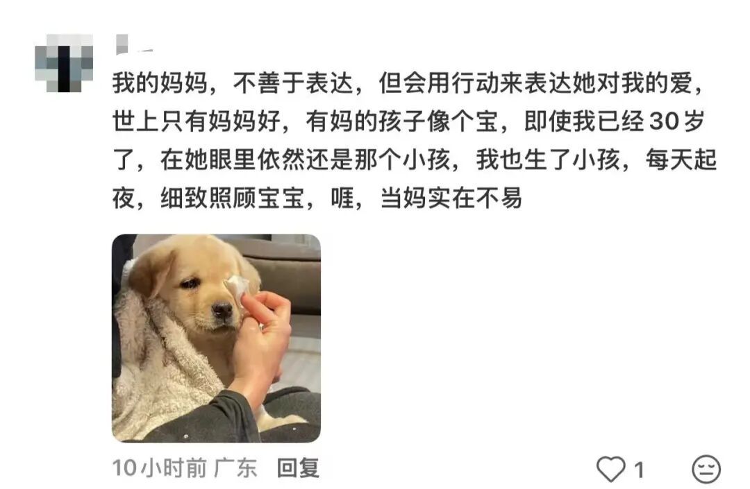 深圳还是太超前了！母亲节标语又“上大分”！