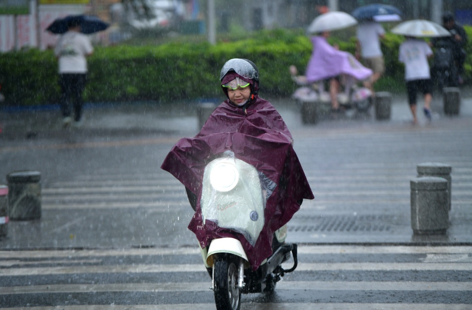 暴雨大风！广州下周将开启“倒水”模式