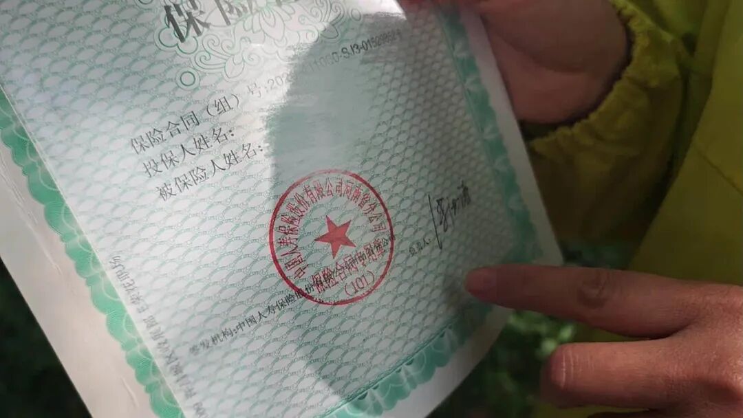 中国人寿业务员涉嫌用假合同诈骗24万！公司：合同是假，公章是真的