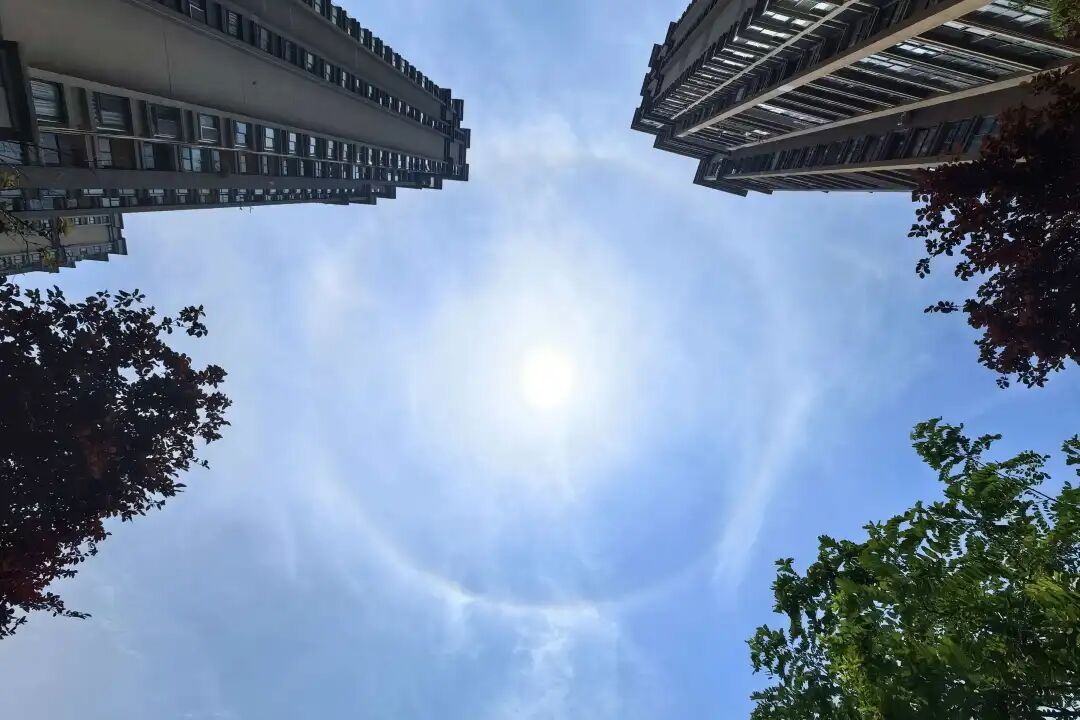 重庆天空现“日晕” &nbsp;你拍到了吗？