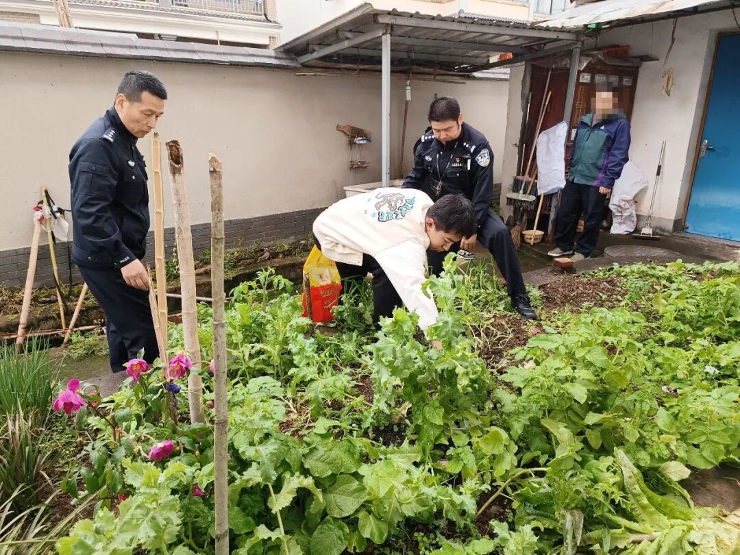 这种花一株也不能种！杭州有人被抓