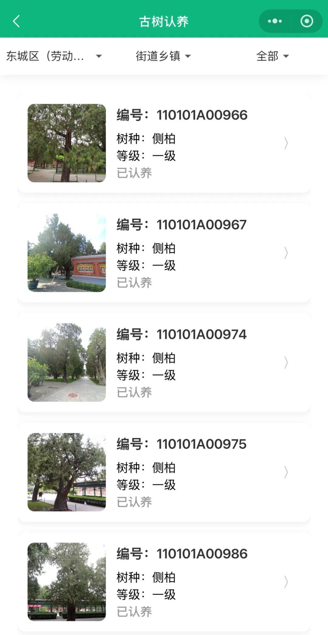 你想当北京古树监护人吗？97%名额已约满，附认养入口→