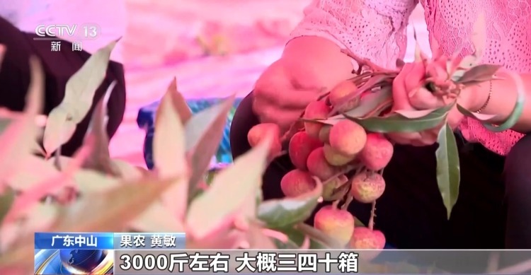 夏季鲜果大量上市 挑选有诀窍