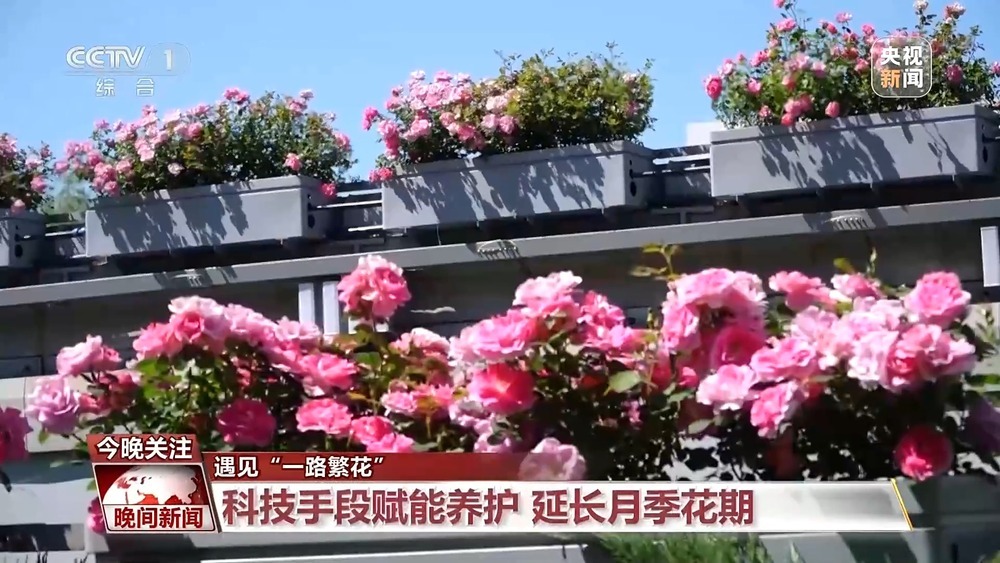 遇见“一路繁花” 多地赏花经济活力旺
