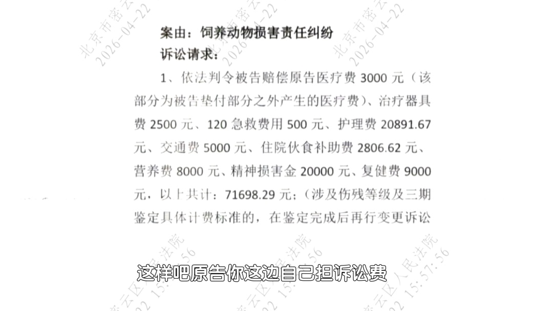 北京：未拴绳犬只撞倒邻居致残 养犬人赔偿17万