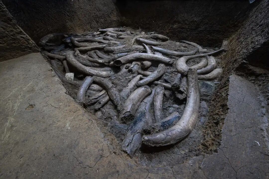 三星堆发现“神秘器物”