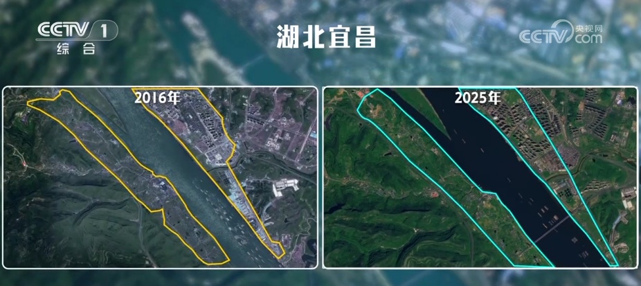 长江大保护 | 一江碧水重焕生机 水清江豚跃美丽画卷徐徐铺展