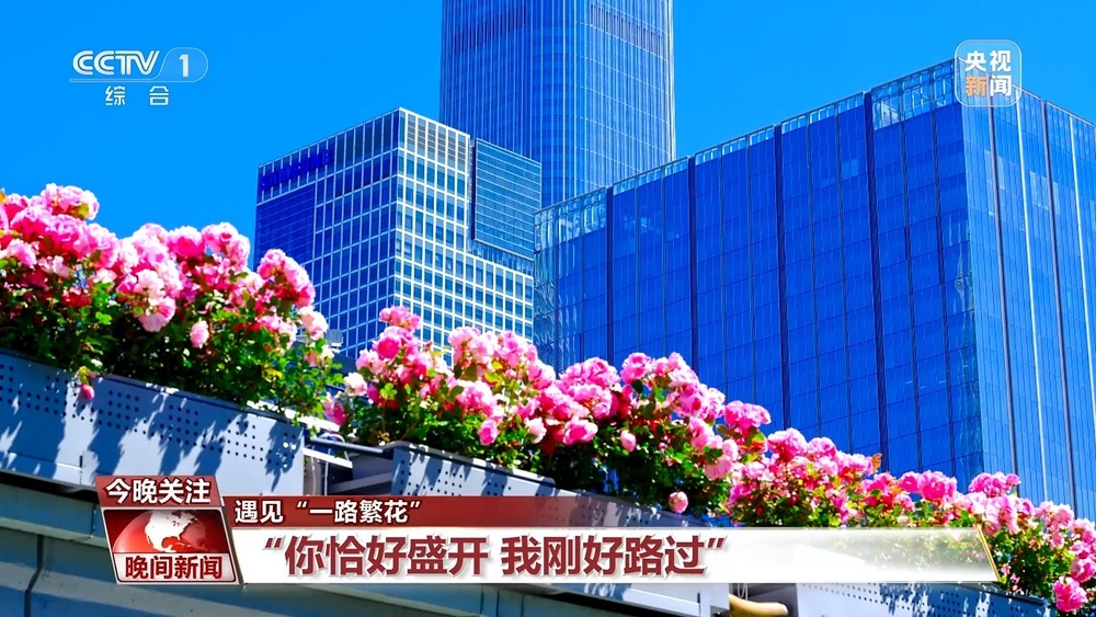 遇见“一路繁花” 多地赏花经济活力旺